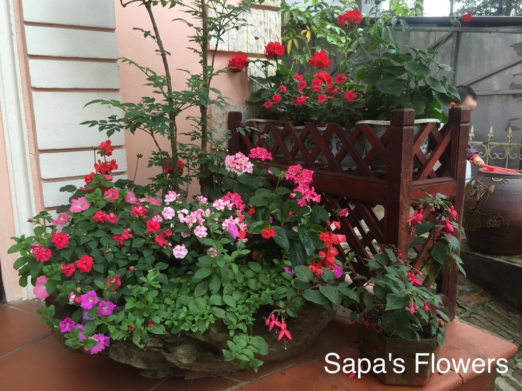 Thai Binh Sapa Hotel Zewnętrze zdjęcie