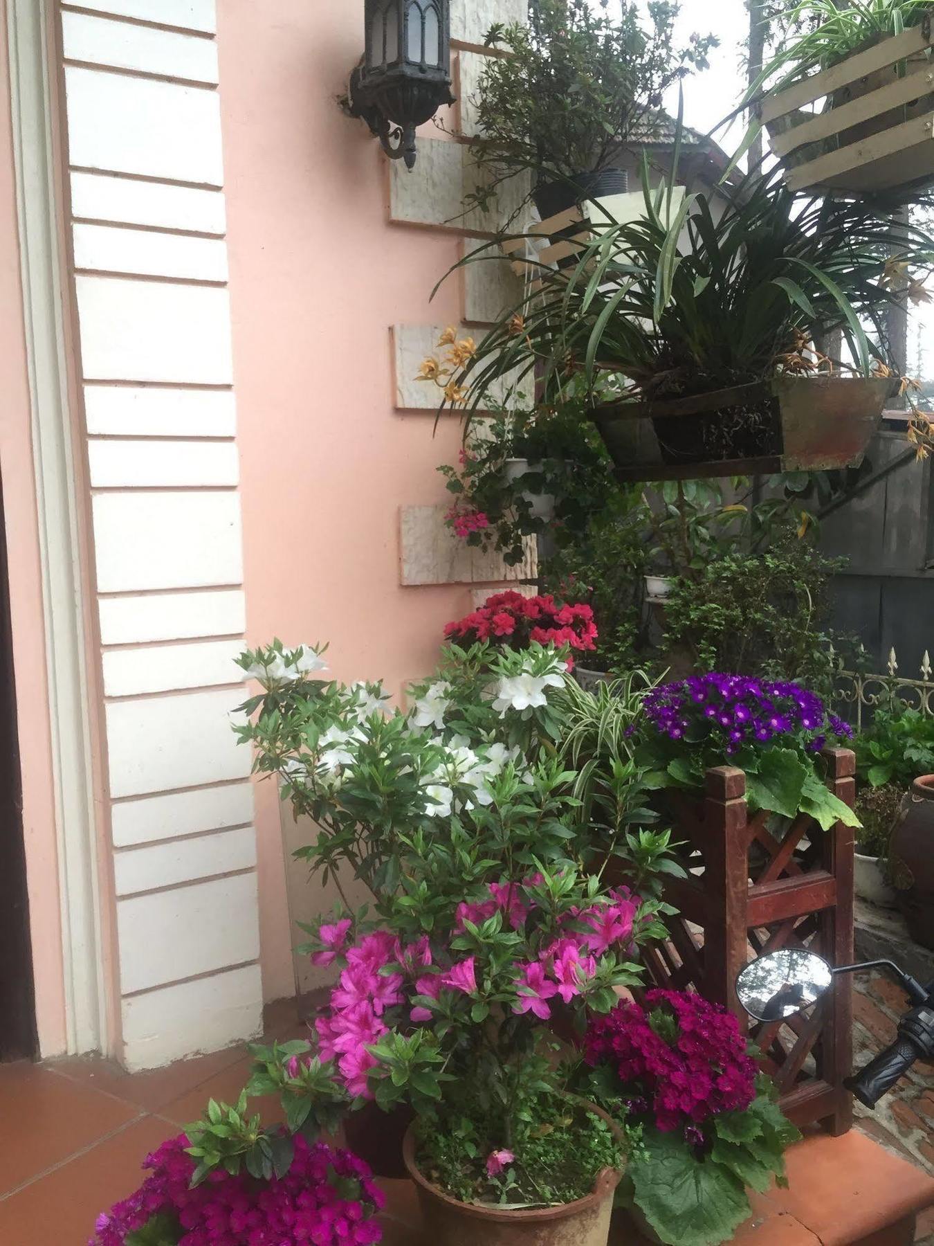 Thai Binh Sapa Hotel Zewnętrze zdjęcie