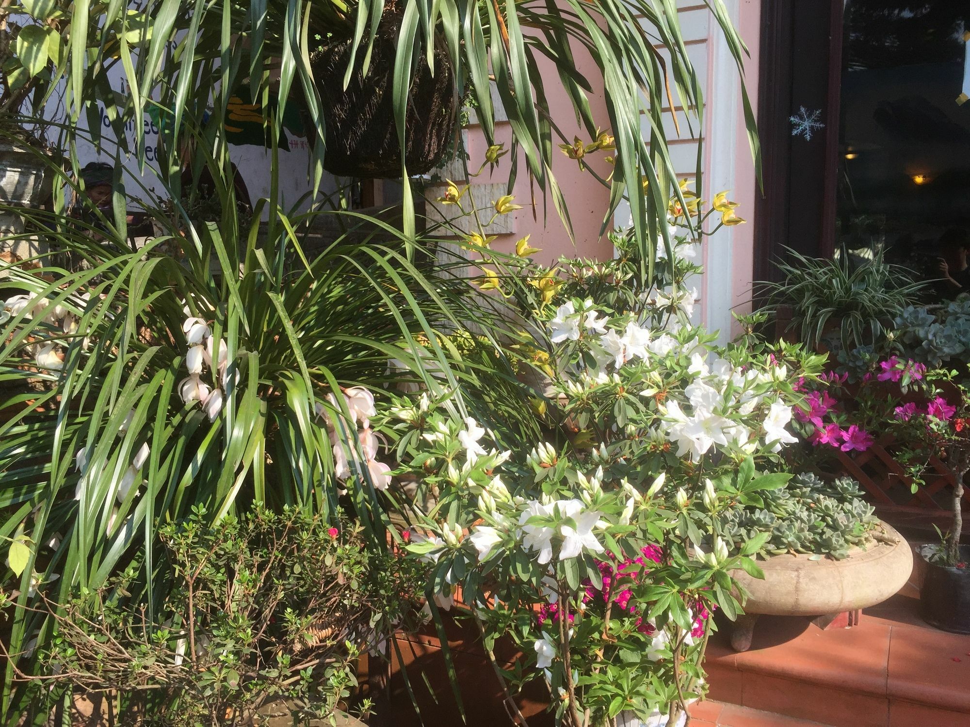 Thai Binh Sapa Hotel Zewnętrze zdjęcie