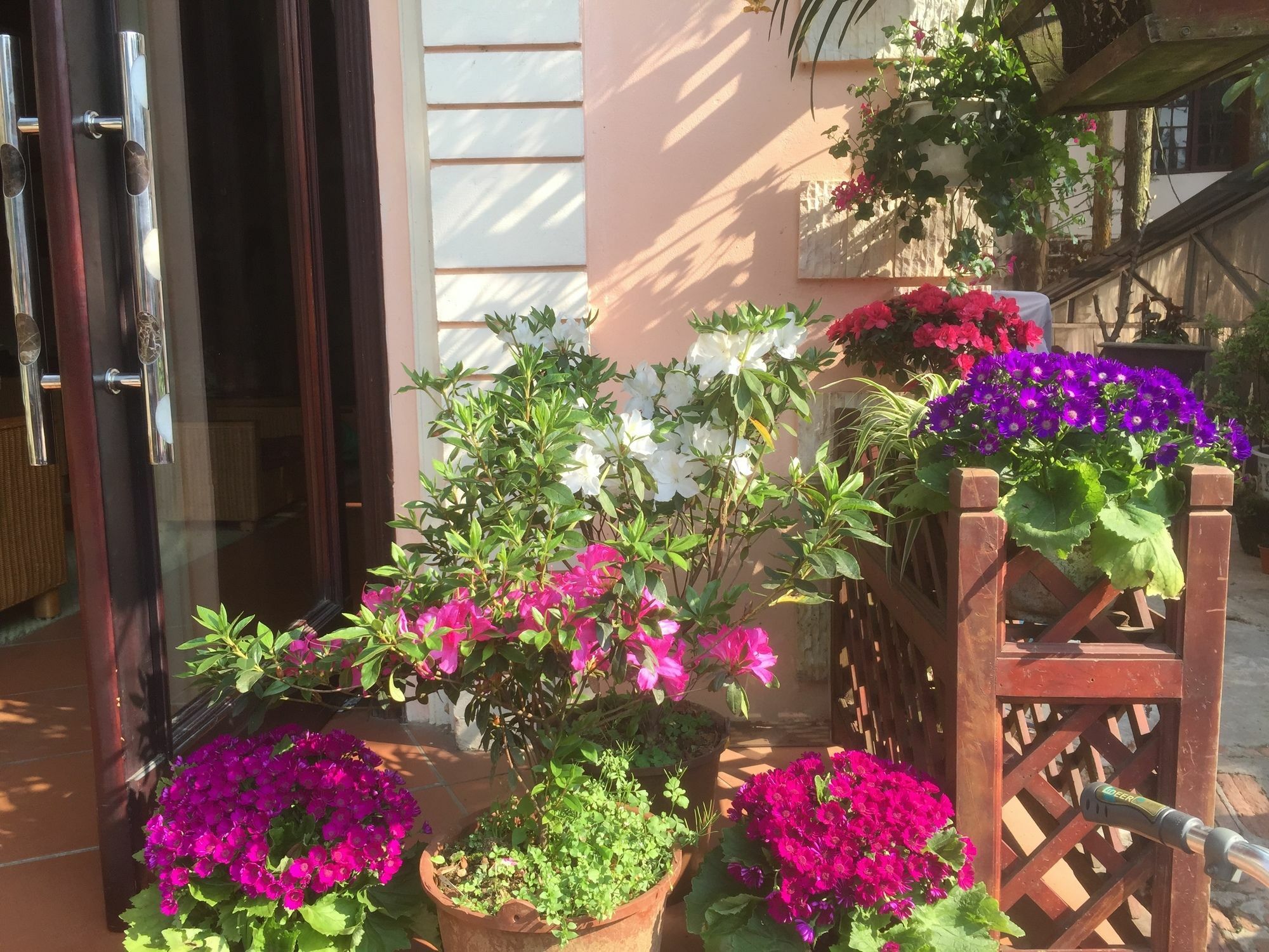 Thai Binh Sapa Hotel Zewnętrze zdjęcie